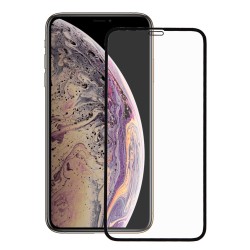 Cristal Templado Completo  para iPhone XS